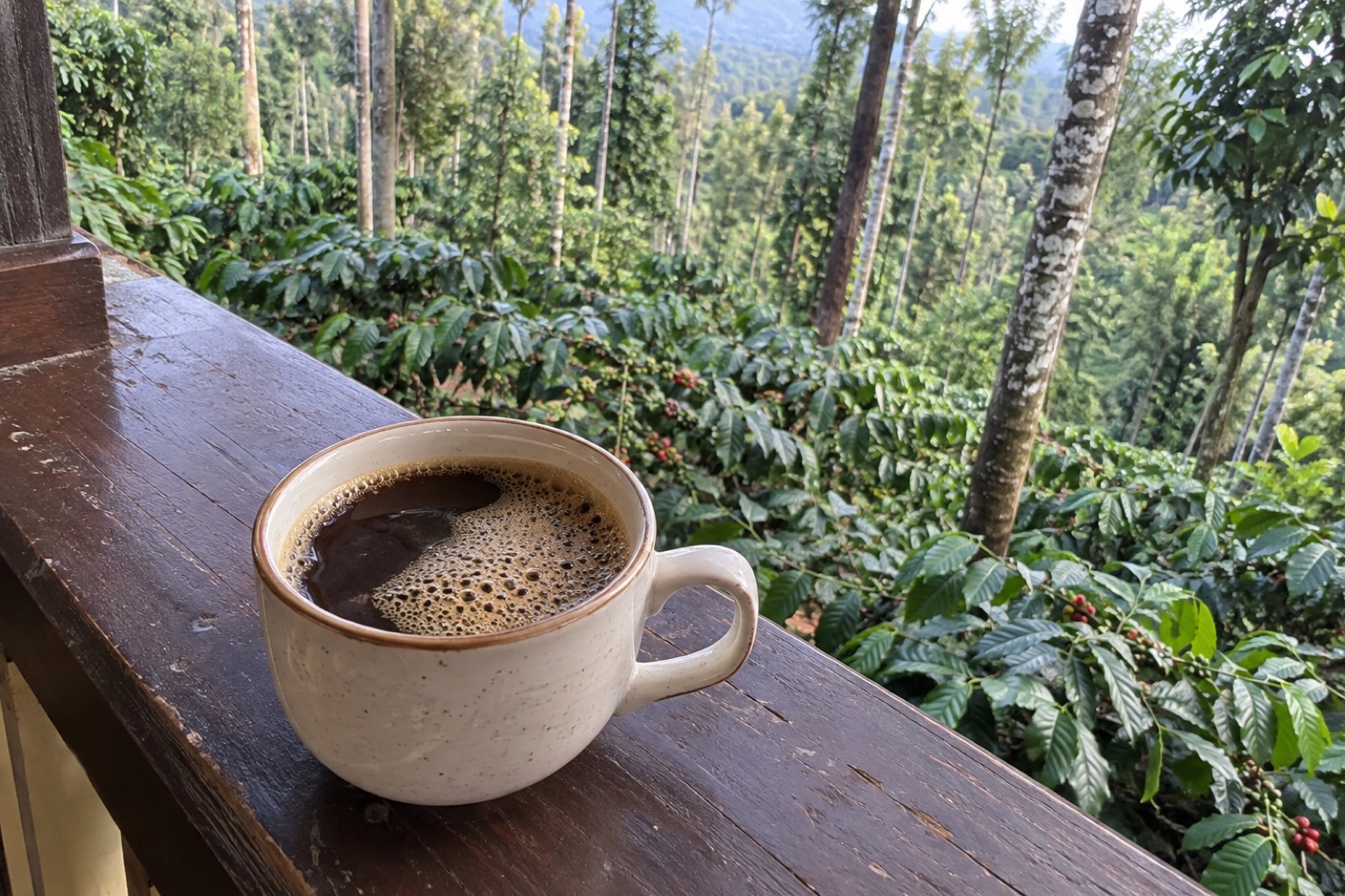 Coorg Coffee — vegetarian Coorg (Madikeri) dish