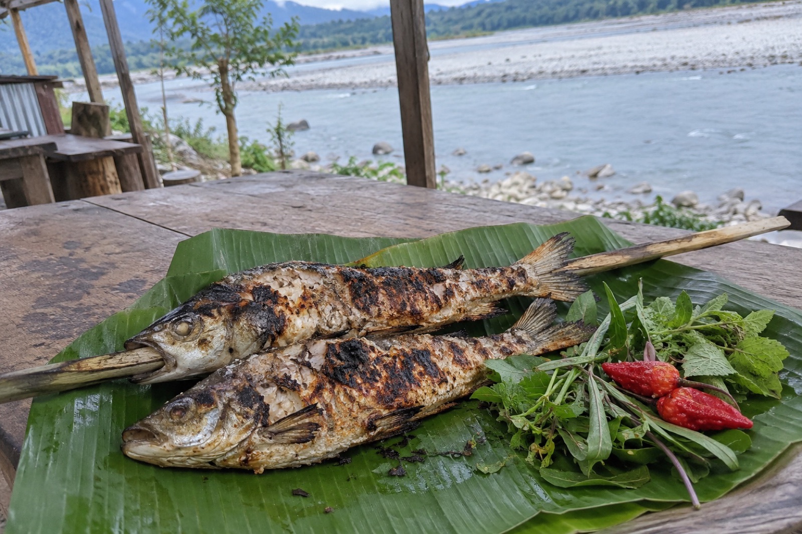 Grilled Siang Fish — non-vegetarian Pasighat dish