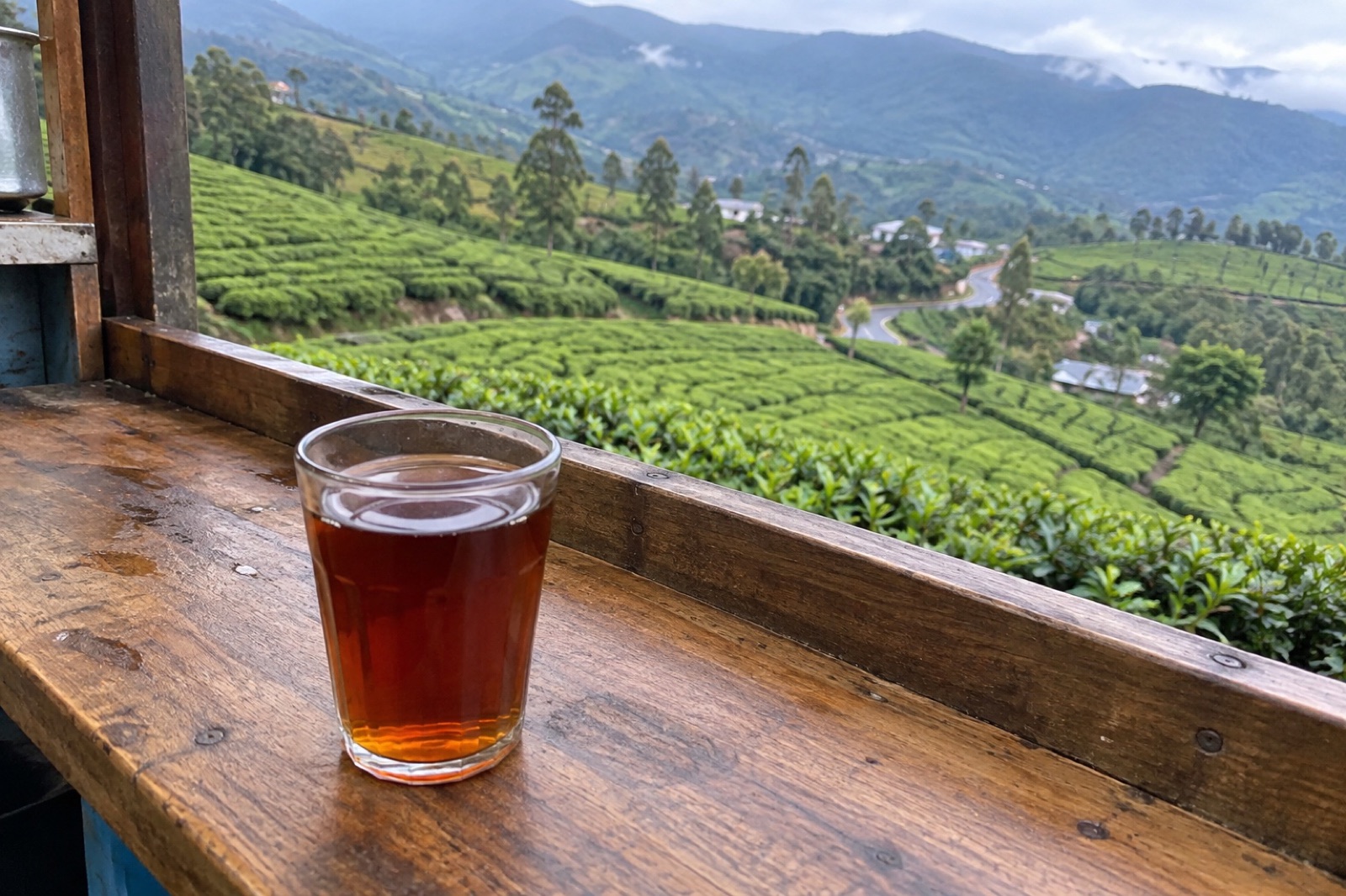 Munnar Tea — vegetarian Munnar dish