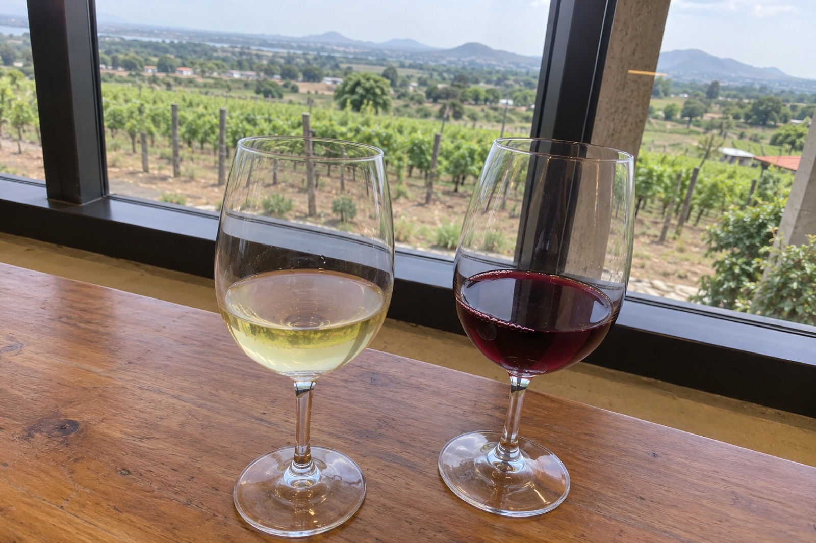 Nashik Wine — vegetarian Nashik dish
