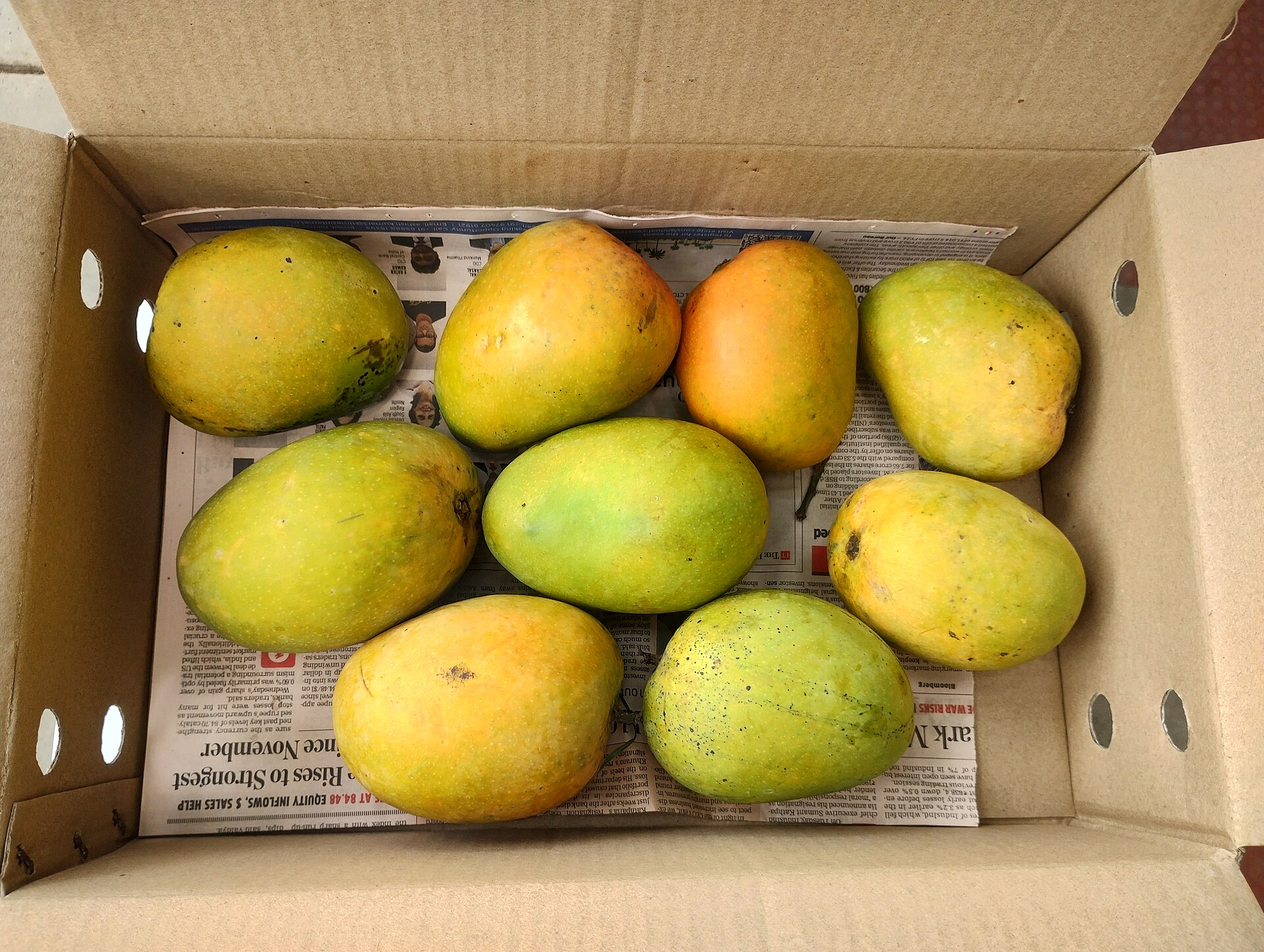 Alphonso Mango (Hapus) — vegetarian Ganpatipule dish