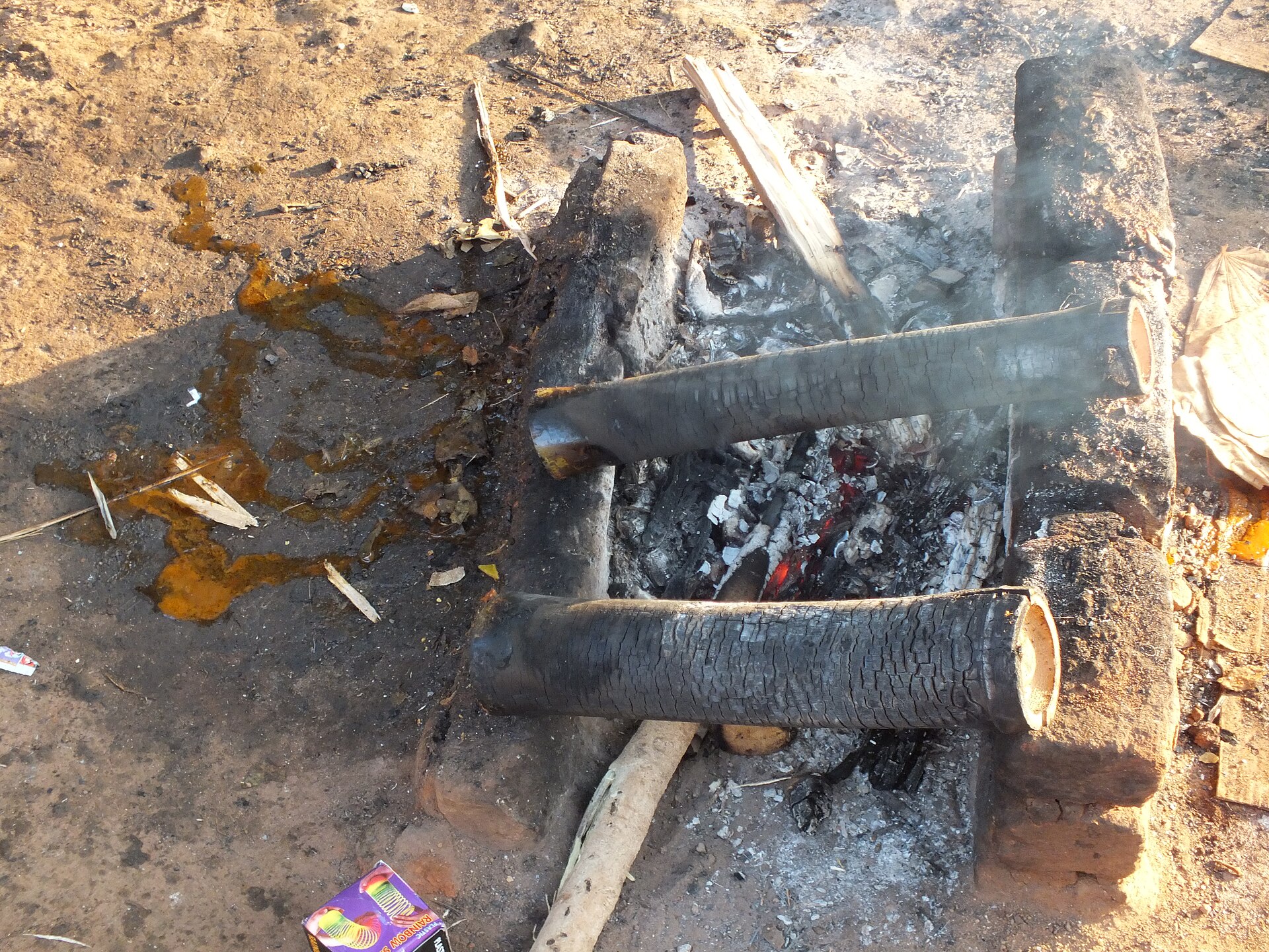 Bamboo Chicken — non-vegetarian Araku Valley dish