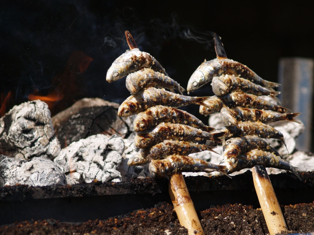 Espeto de sardinas — non-vegetarian Málaga dish