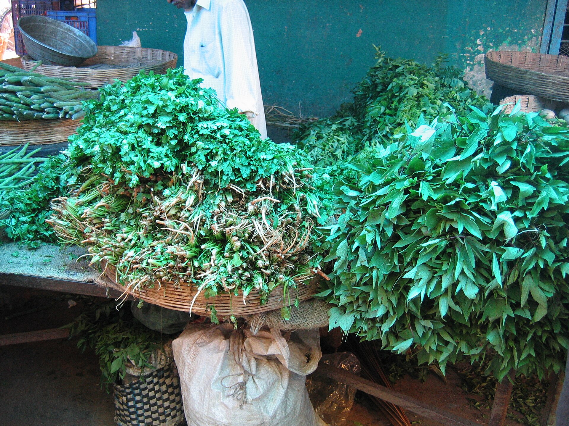 Gongura Pachadi — vegetarian Nagarjuna Sagar dish