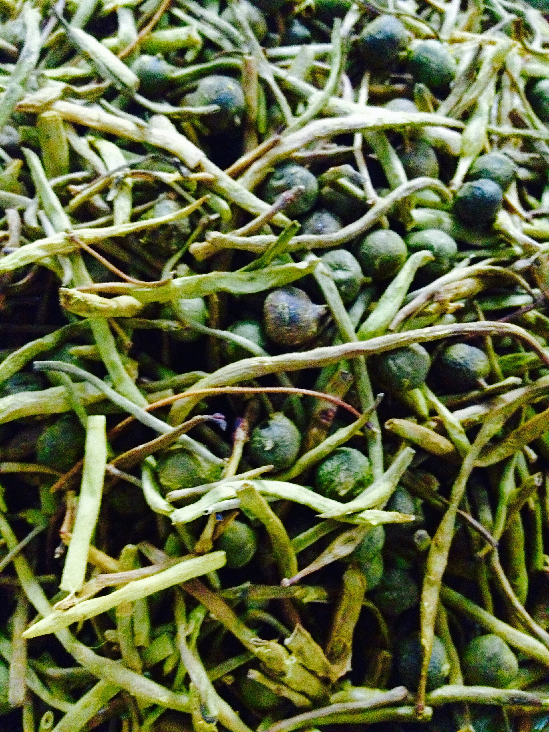 Ker Sangri — vegetarian Ranthambore dish