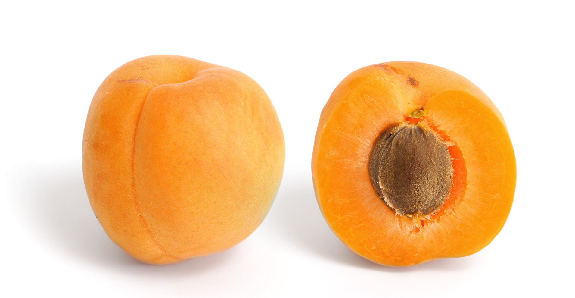 Ladakhi Apricots — vegetarian Nubra Valley dish