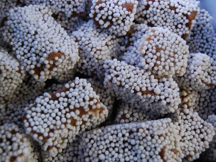 Bal Mithai — vegetarian Nainital dish