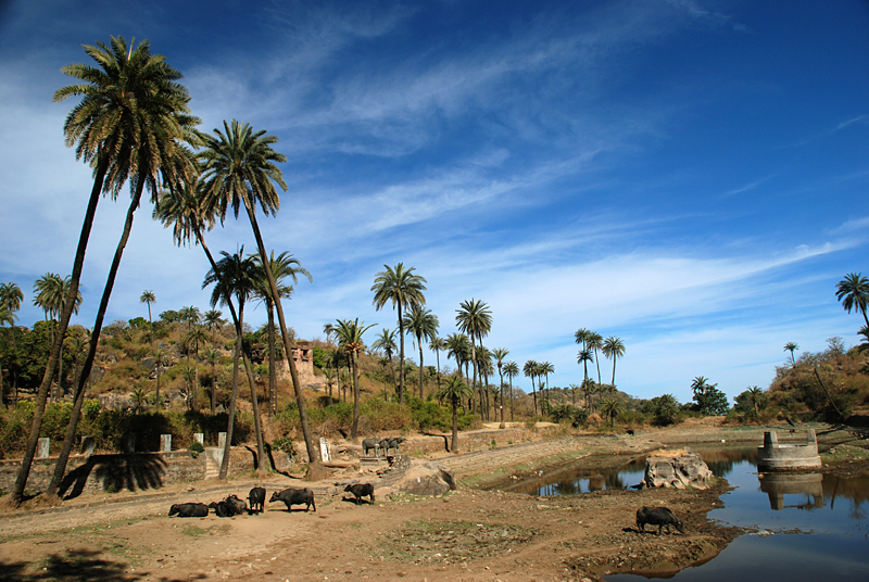Achalgarh Fort — photo