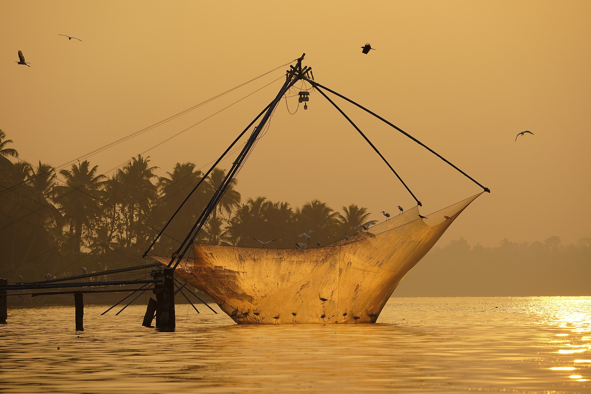 Chinese Fishing Nets — photo