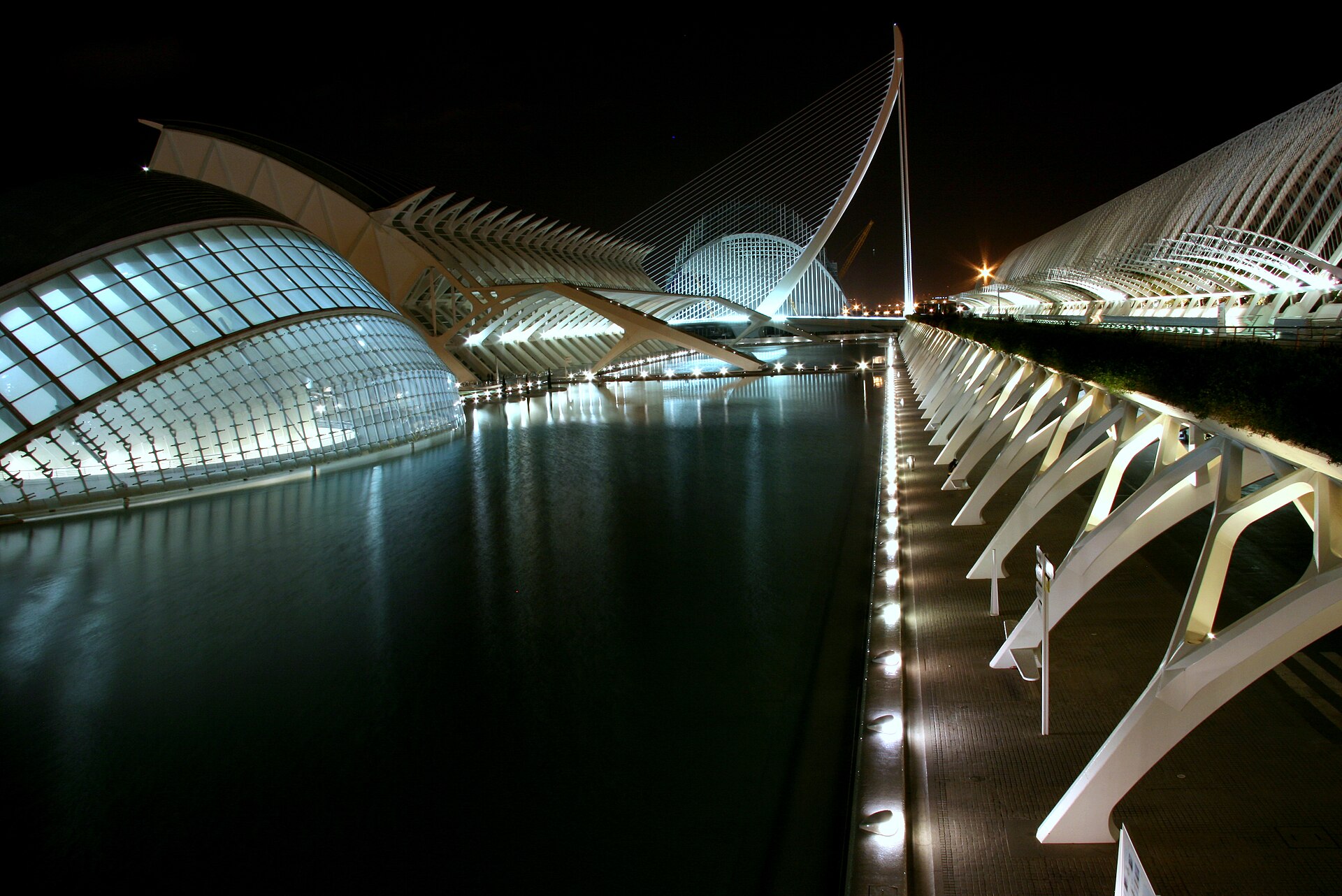 Ciutat de les Arts i les Ciències — photo