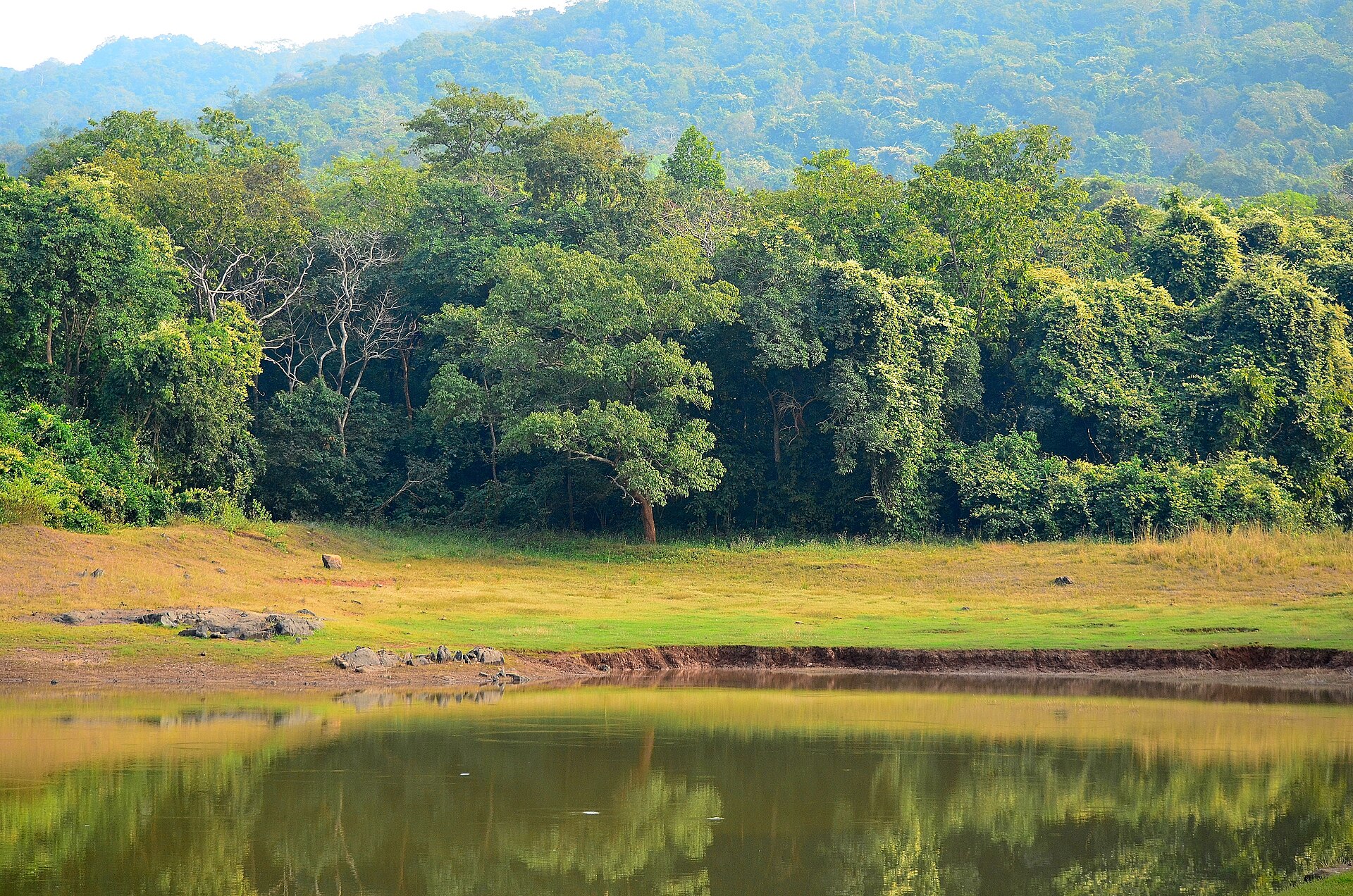 Dalma Wildlife Sanctuary — photo
