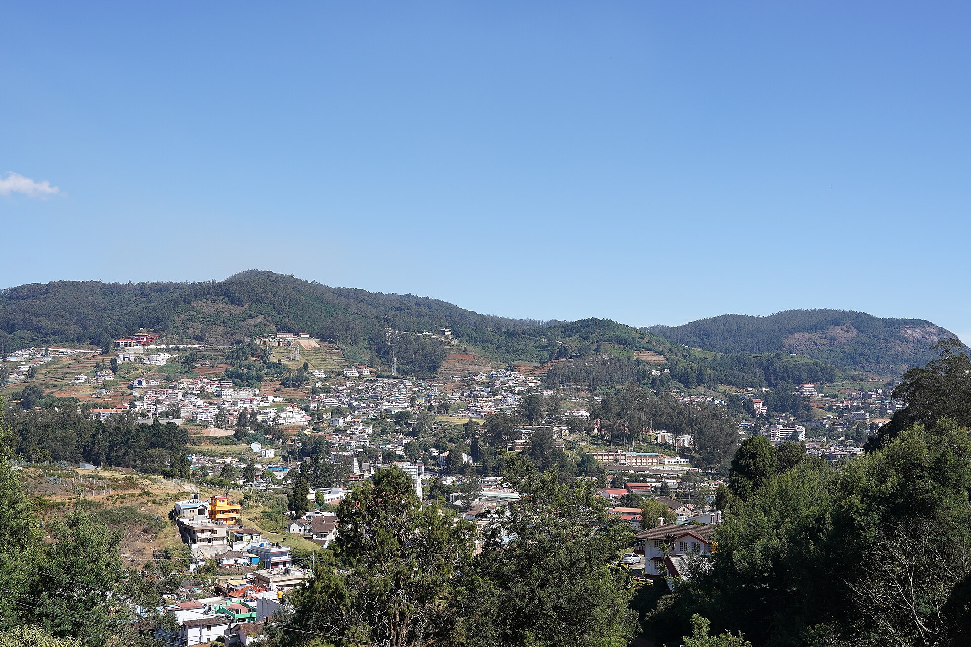 Doddabetta Peak — photo