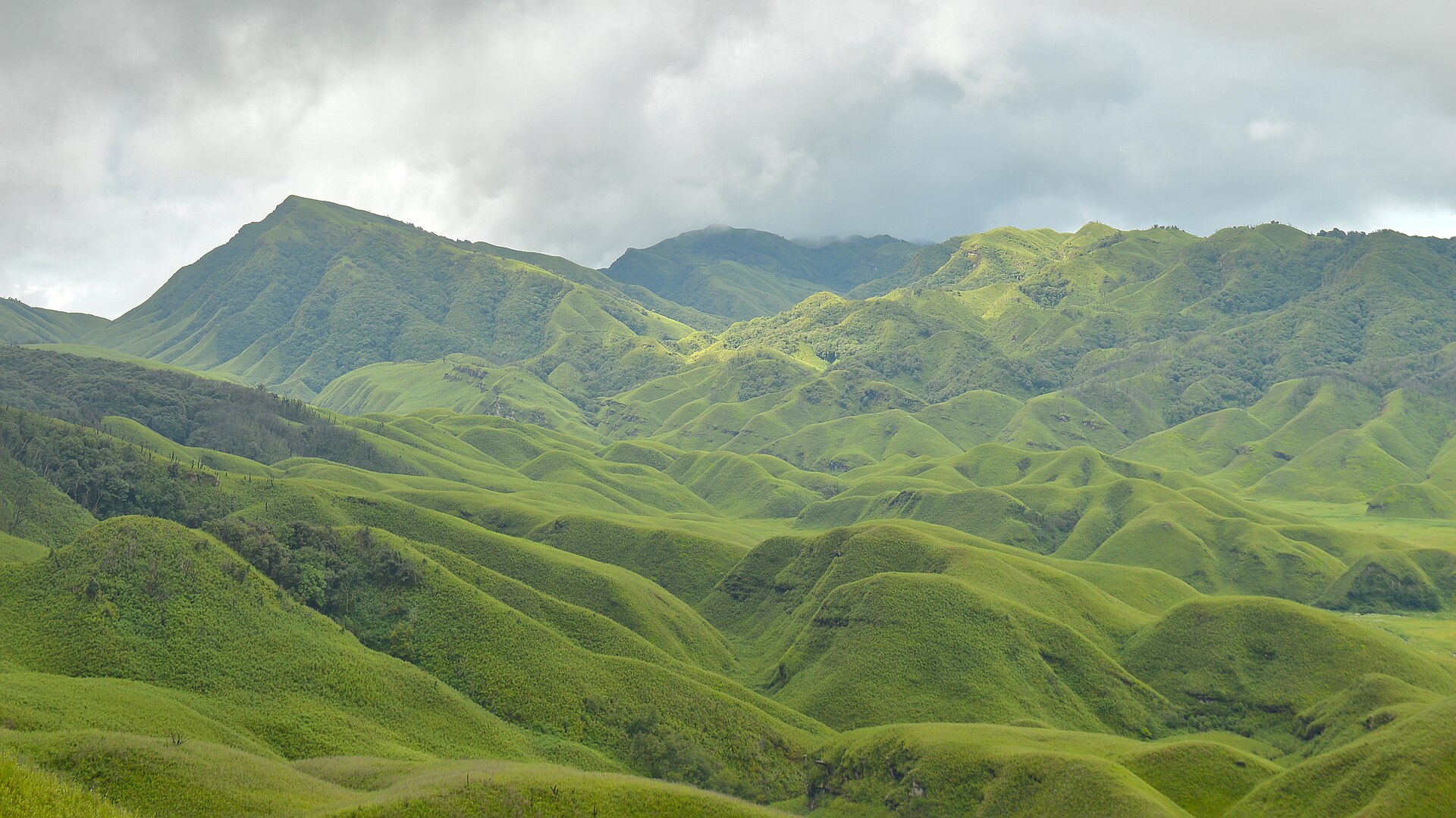 Dzukou Valley — photo