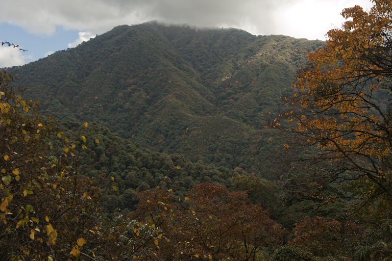 Eaglenest Wildlife Sanctuary — photo