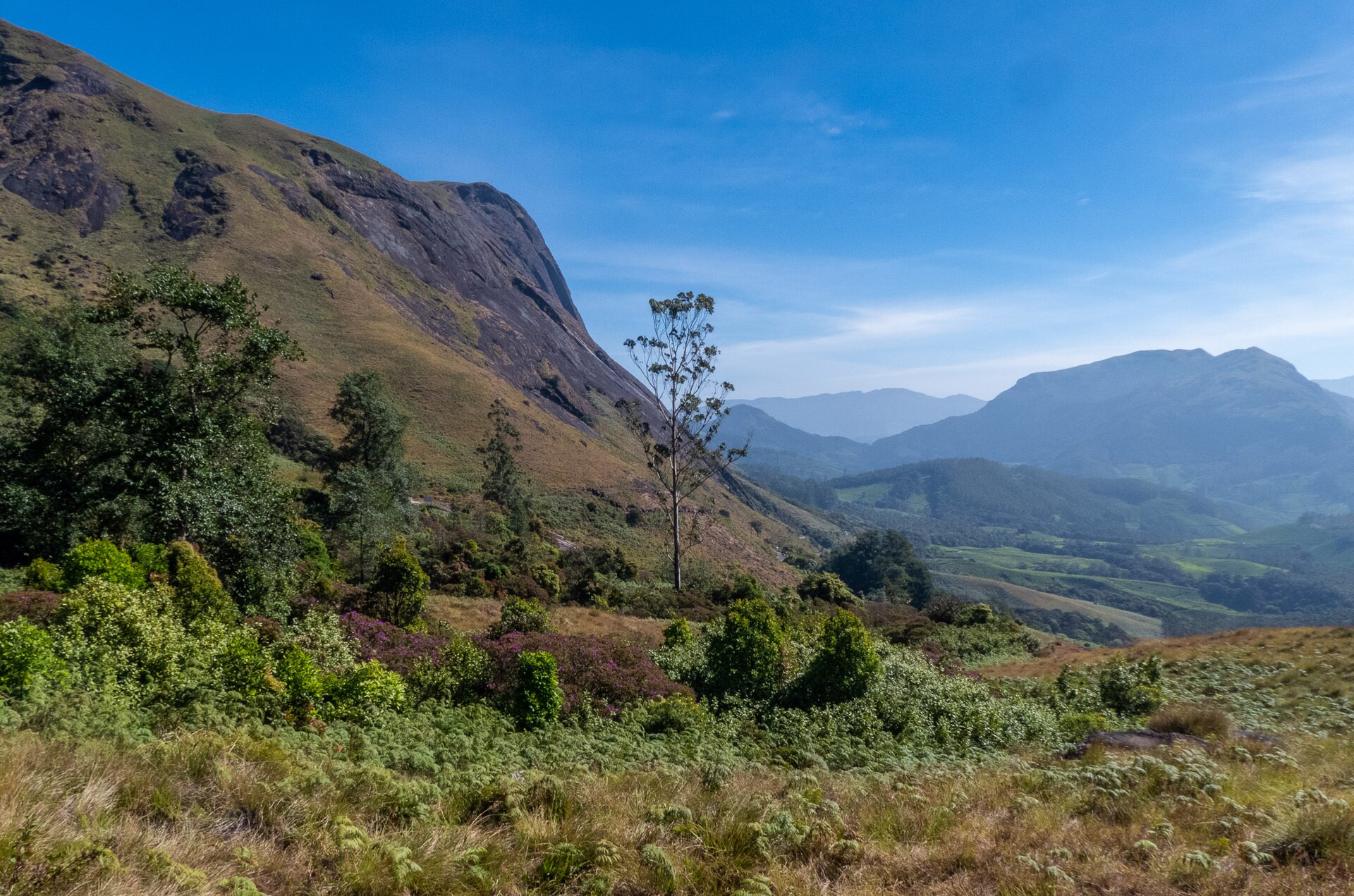 Eravikulam National Park — photo