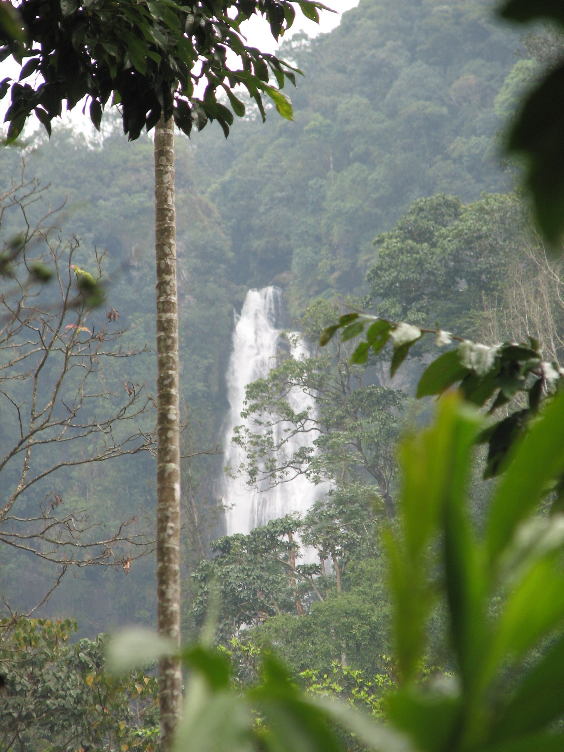 Hebbe Falls — photo