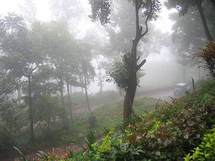 Kemmangundi — photo