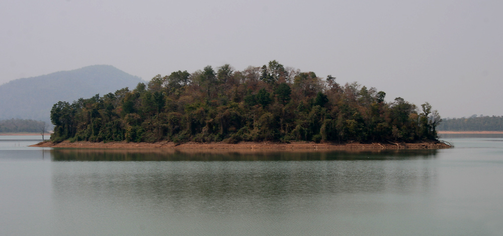 Kinnerasani Wildlife Sanctuary — photo