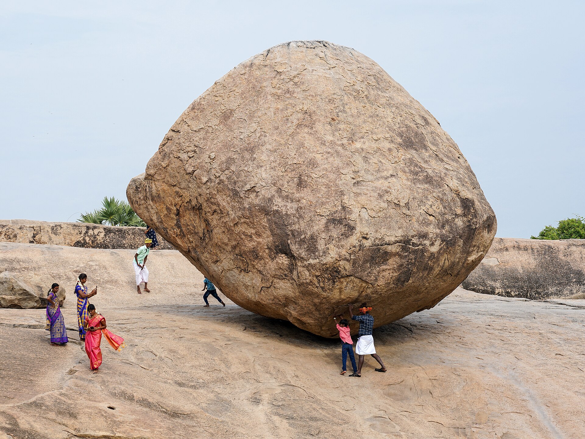 Krishna's Butterball — photo