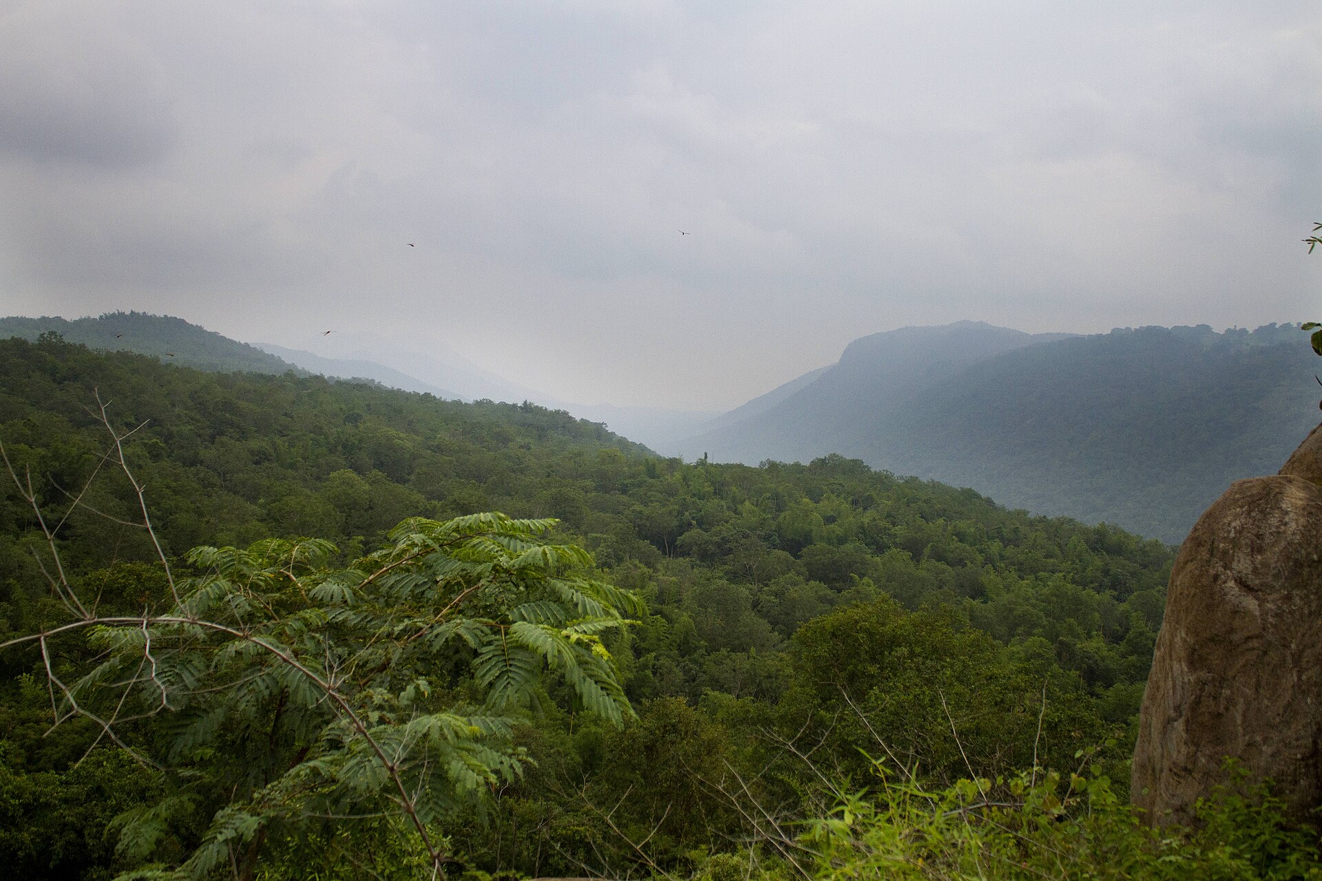 Melagiri Hills — photo