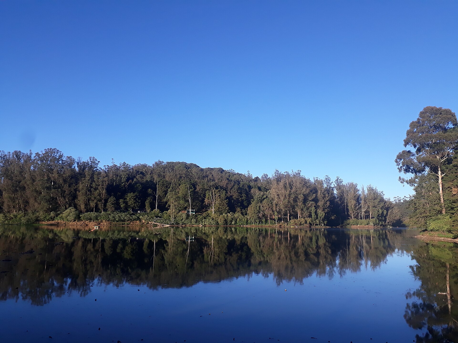 Ooty Lake — photo