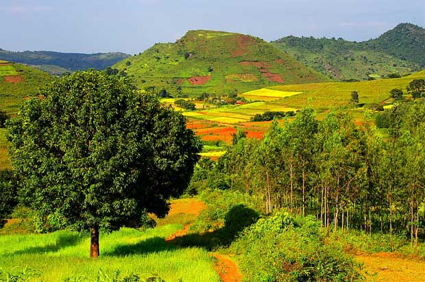 Padmapuram Gardens — photo