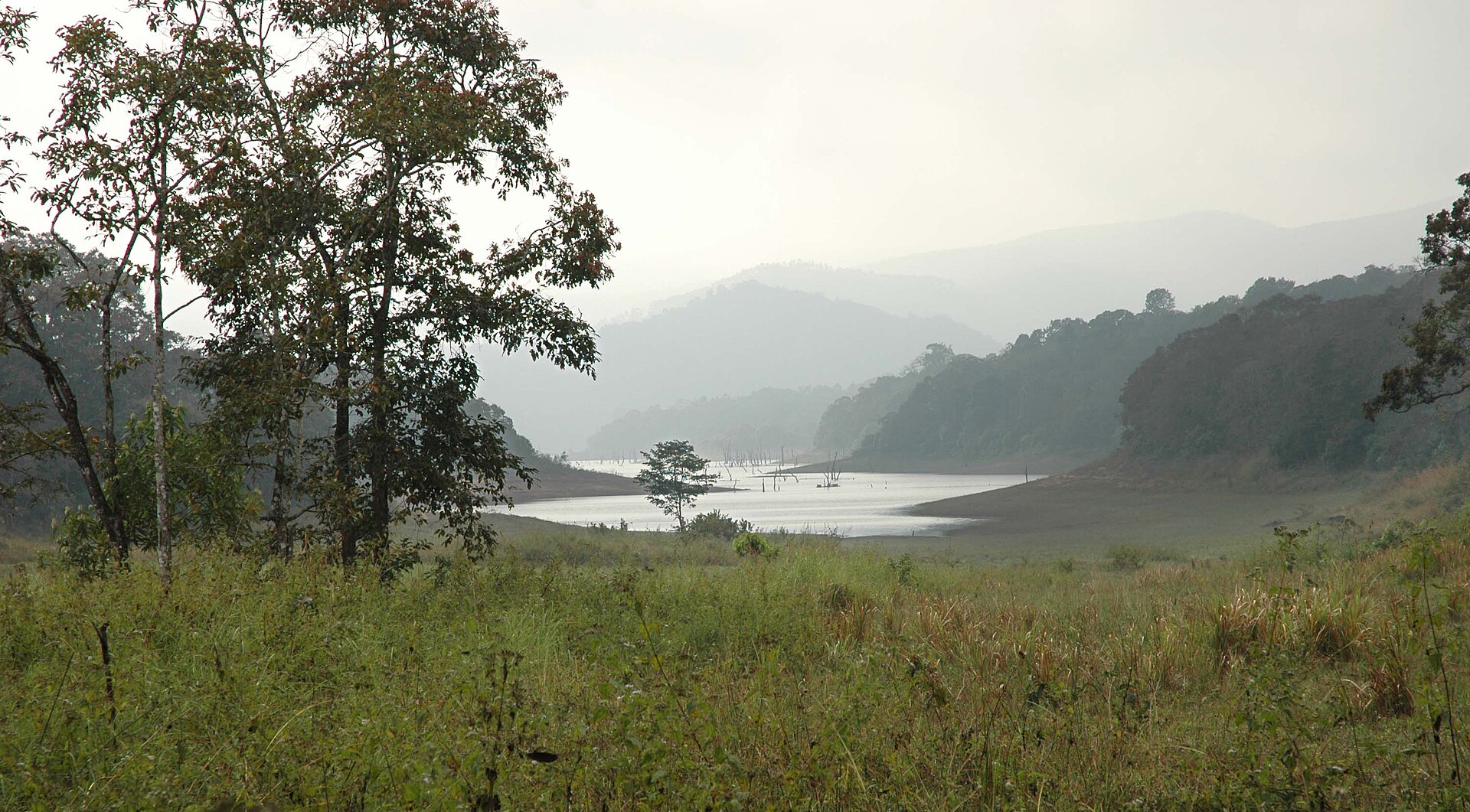 Periyar Tiger Reserve — photo