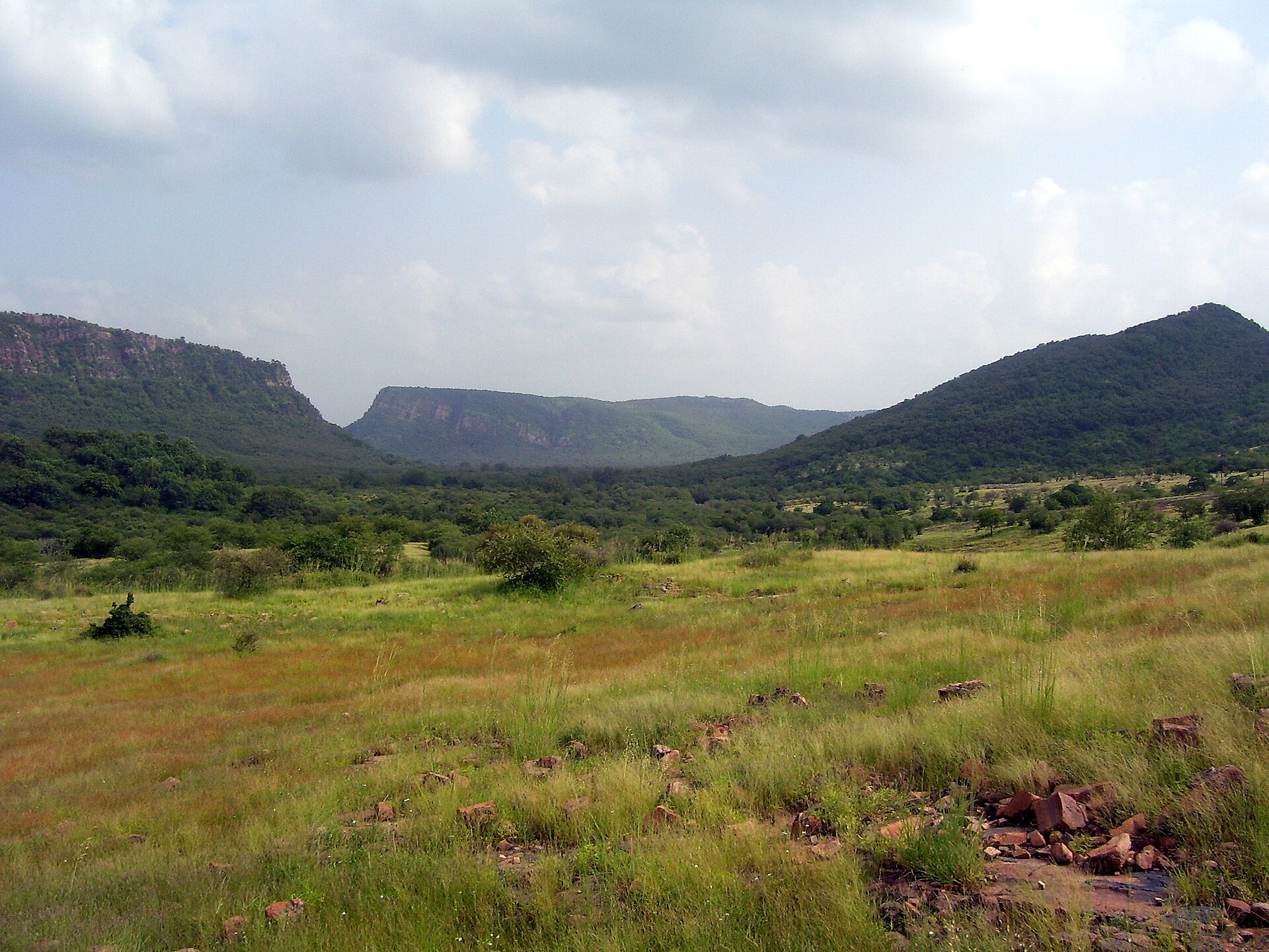 Ranthambore National Park — photo