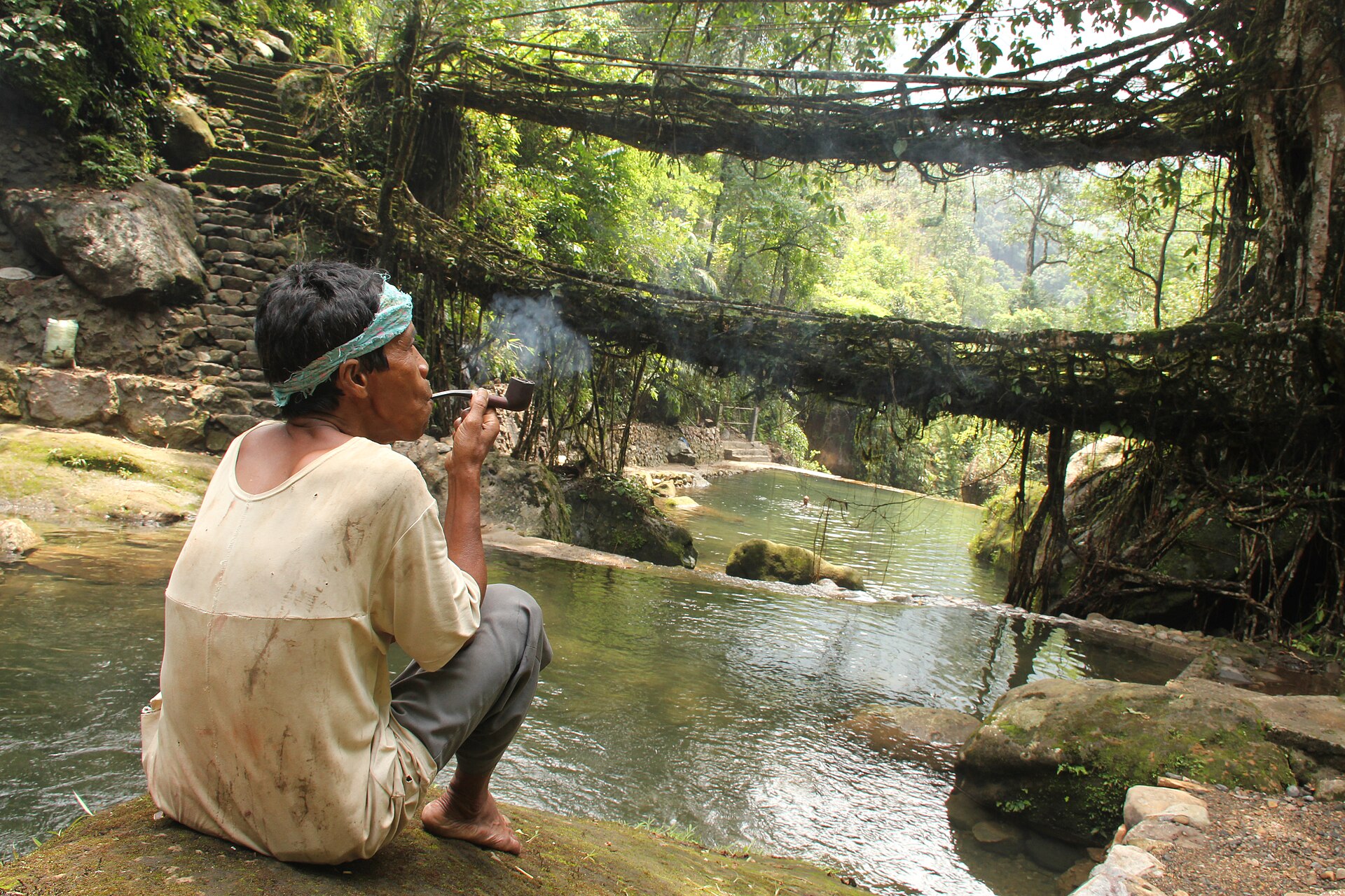 Single Decker Root Bridges — photo
