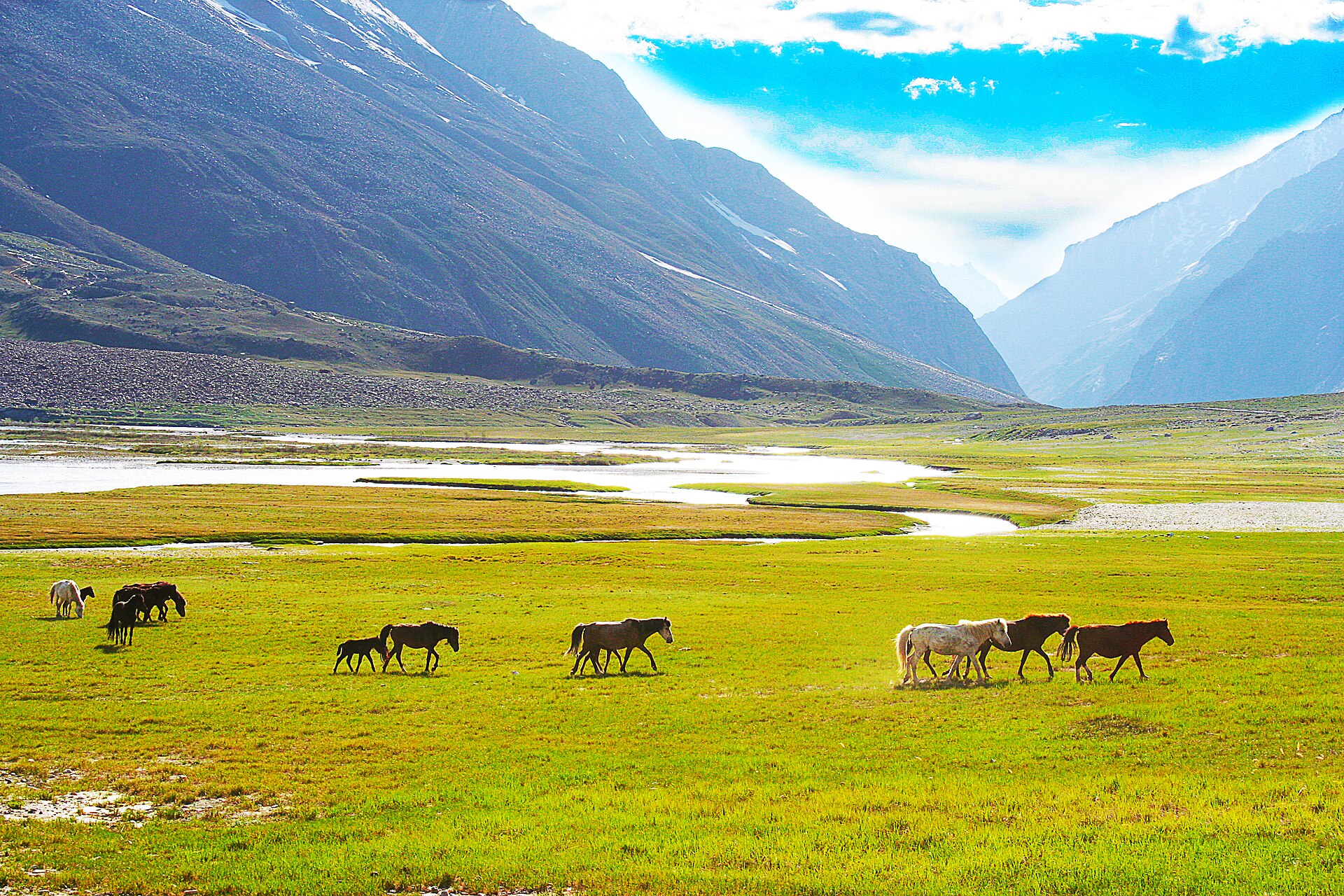 Suru Valley — photo
