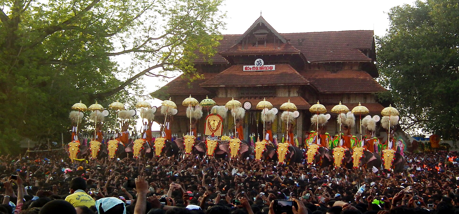 Thekkinkadu Maidan (Thrissur Pooram) — photo