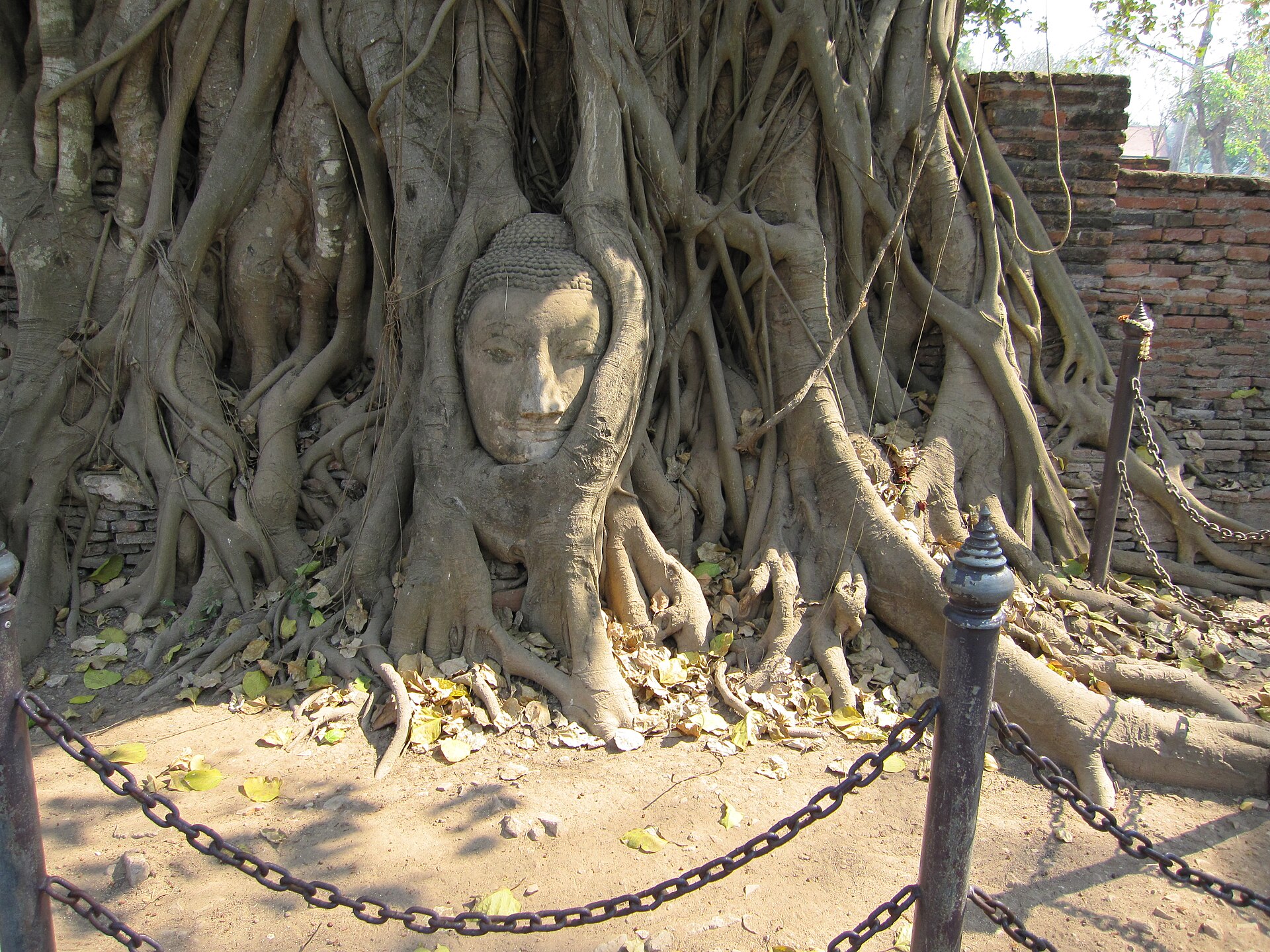 Wat Mahathat — photo