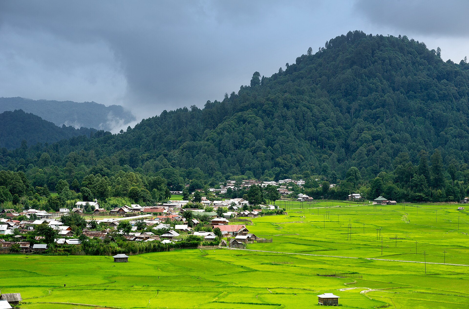 Ziro Valley Paddies — photo